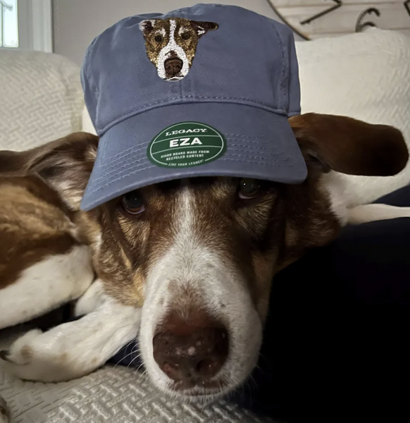 Custom Embroidered Pet Hat. Custom Dog Hat, Custom Cat Hat, Embroidered pet Dad Hat