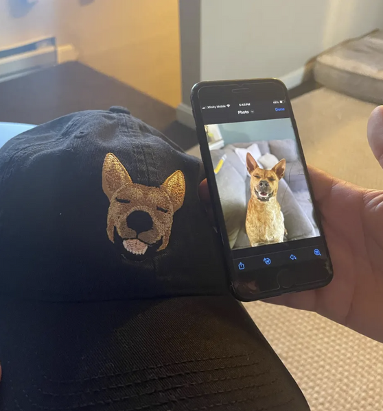 Custom Embroidered Pet Hat. Custom Dog Hat, Custom Cat Hat, Embroidered pet Dad Hat