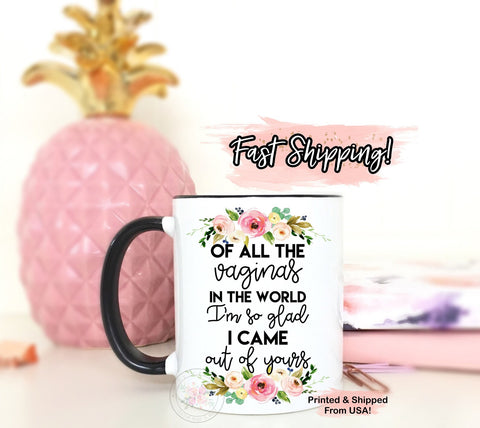 Funny Mother's Day Gift. Mother's Day Gift Mug, Of All The Vaginas In The World, I'm So Glad I Came Out Of Yours Mug